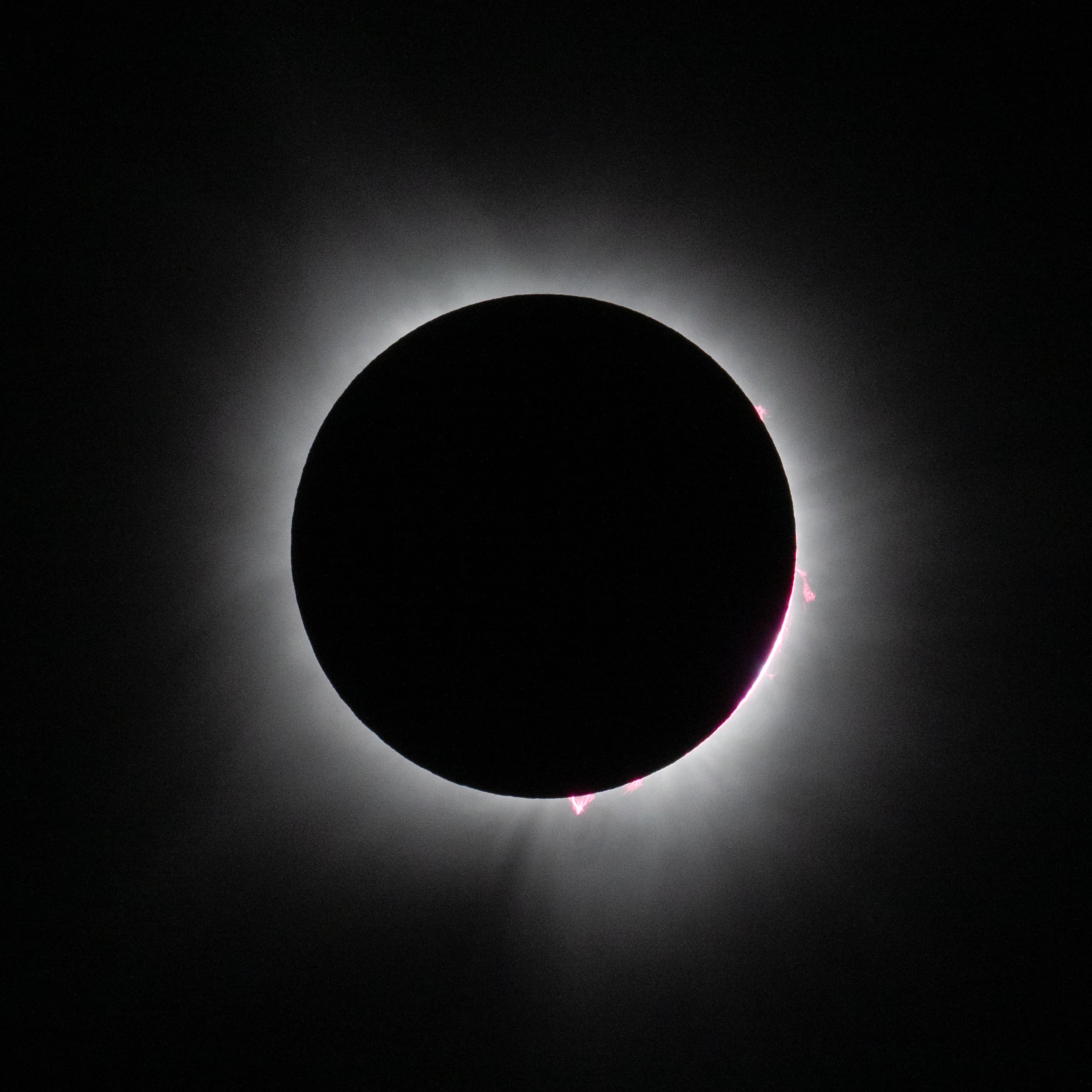 The Moon covers the Sun during totality, revealing white coronal streams and pink solar prominences.